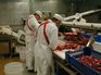 Toiduainetööstuse seadmed lihatööstus